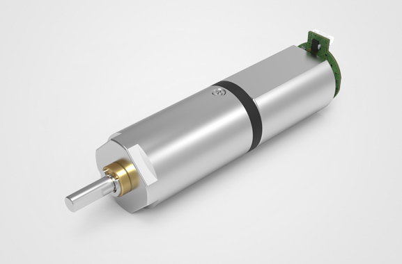 ���ǳ�����